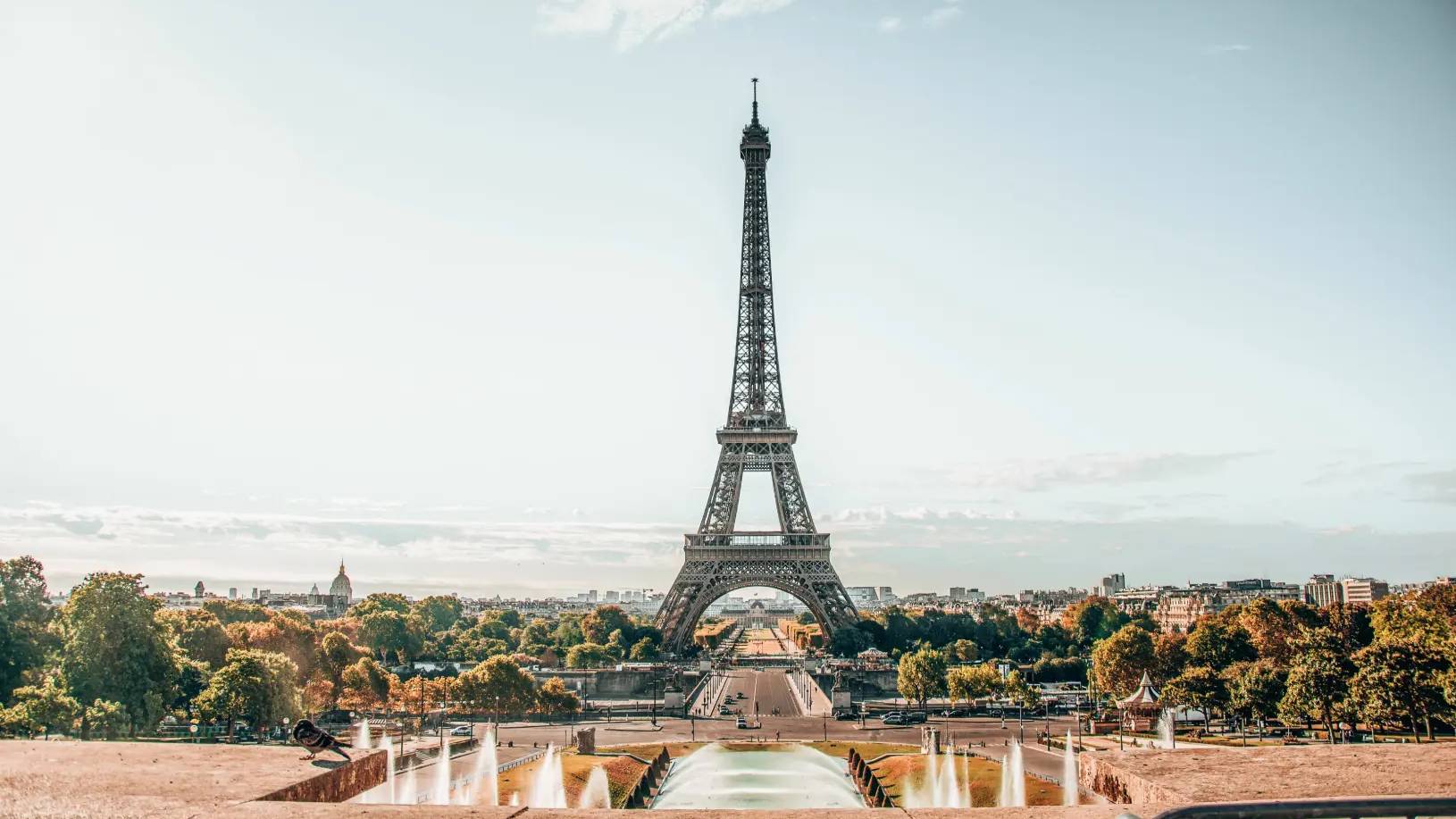 Star Florence Banner 