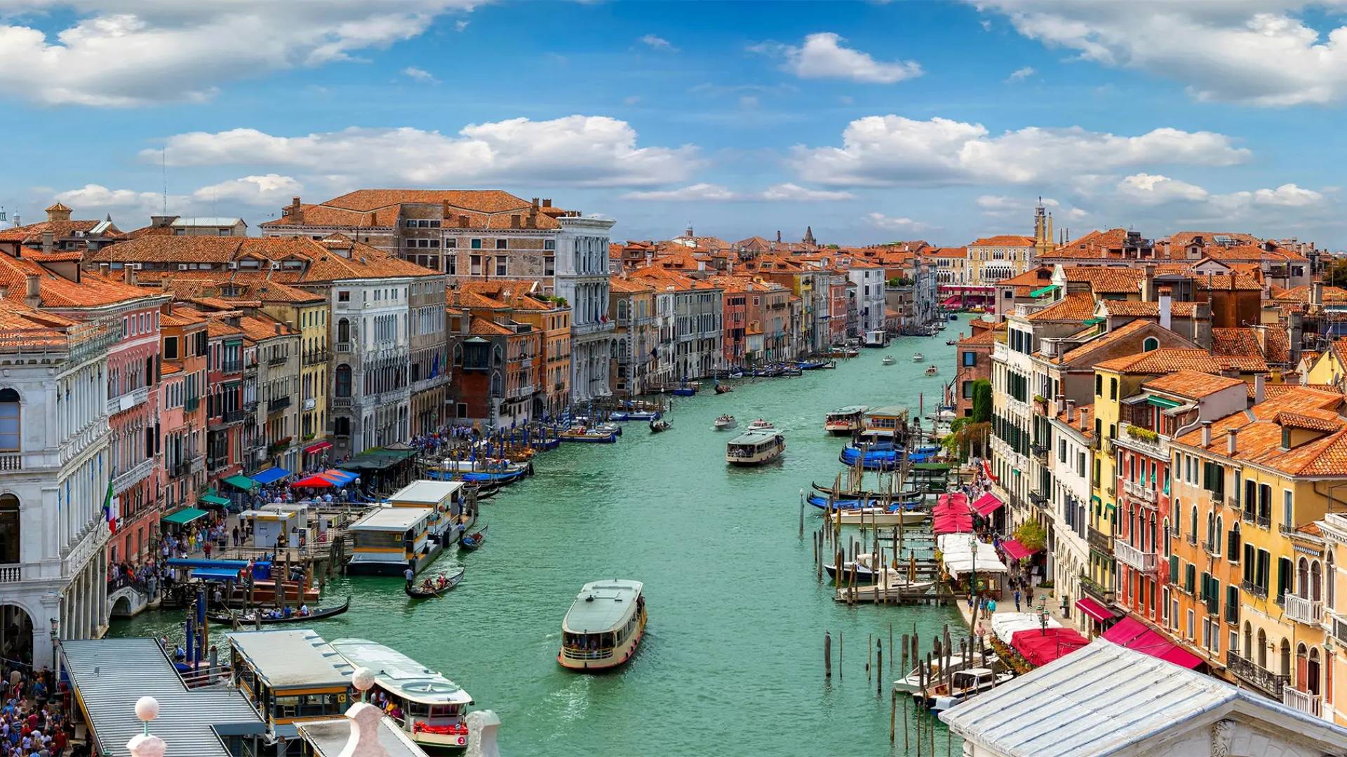 Star Florence Banner 