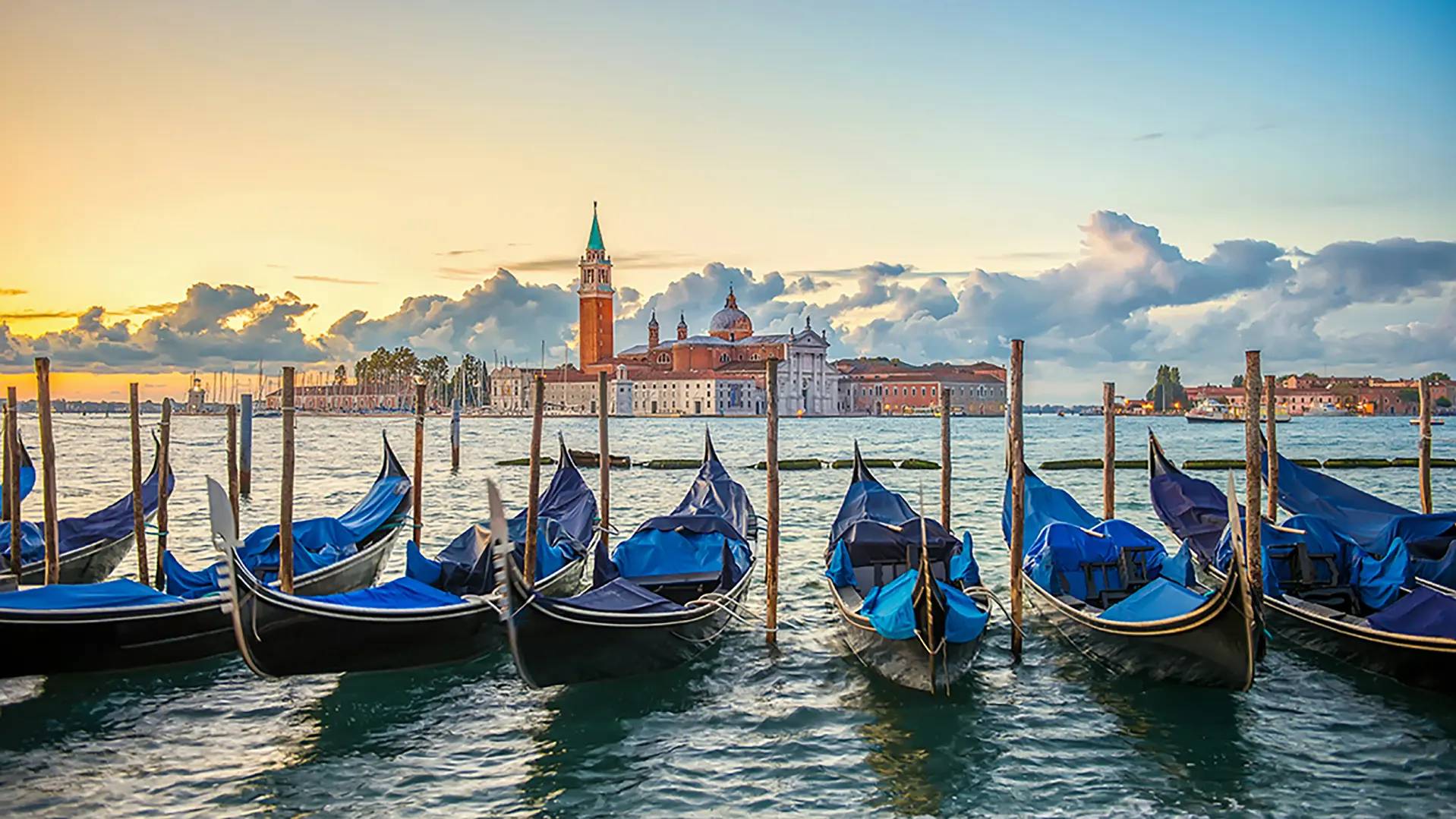 Star Florence Banner 