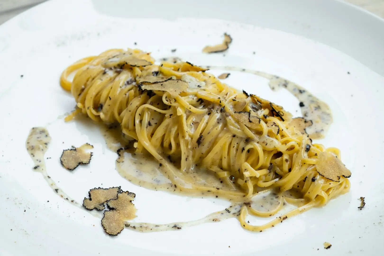 Tuscany: Truffle Hunting with Gourmet Truffle Lunch in a Winery of San Gimignano