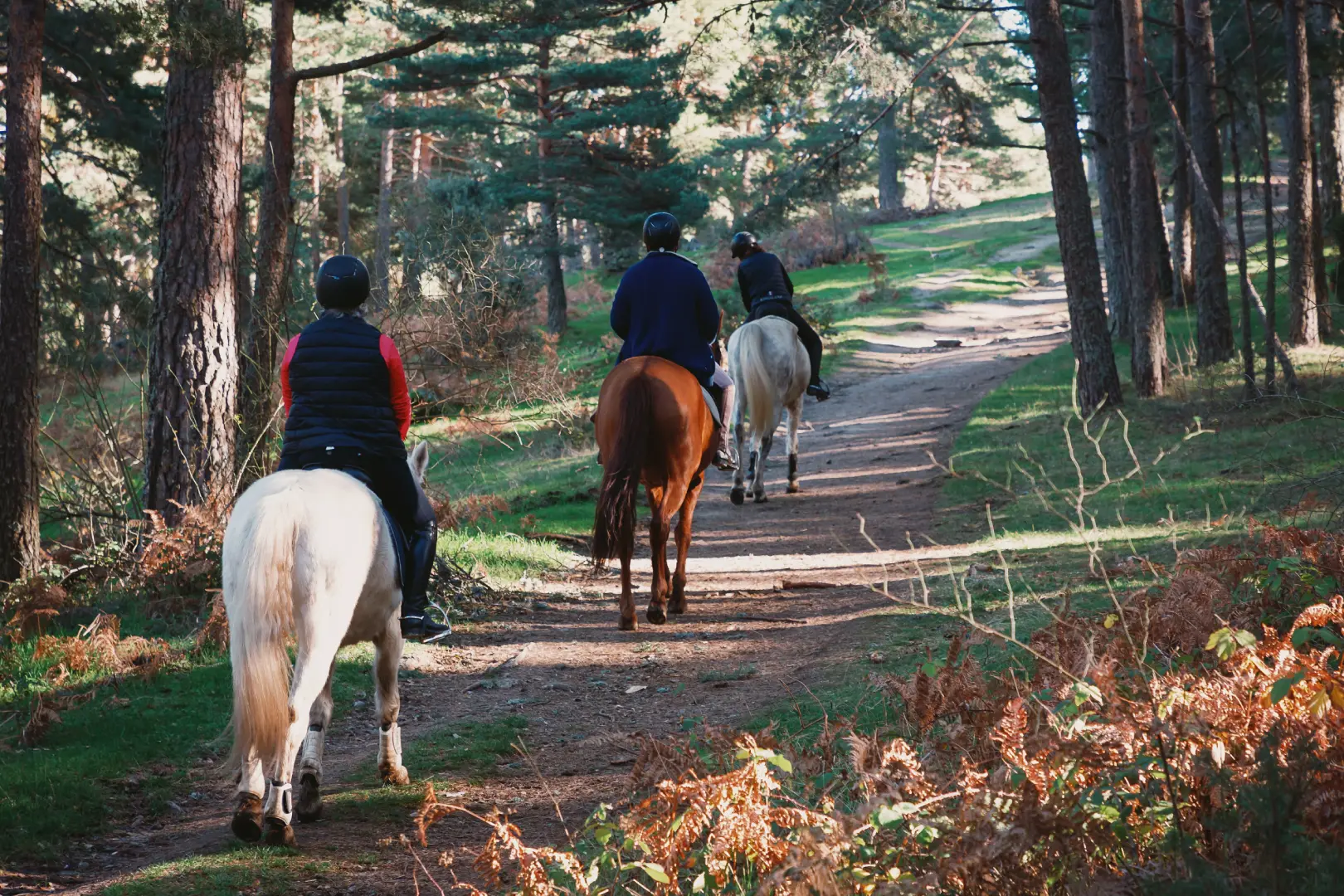 Tuscany: Horseback Riding Adventure with lunch in a Winery of San Gimignano
